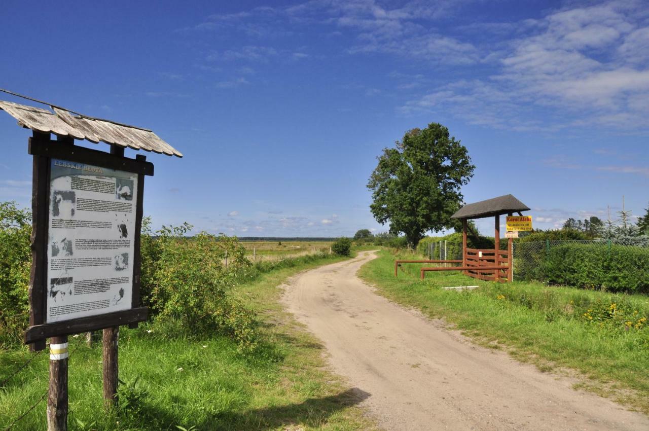 Homebaltic Leba Exteriér fotografie