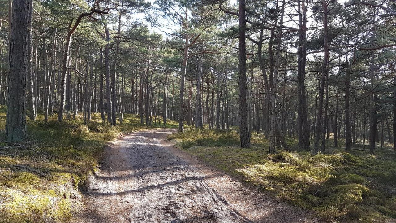 Homebaltic Leba Exteriér fotografie